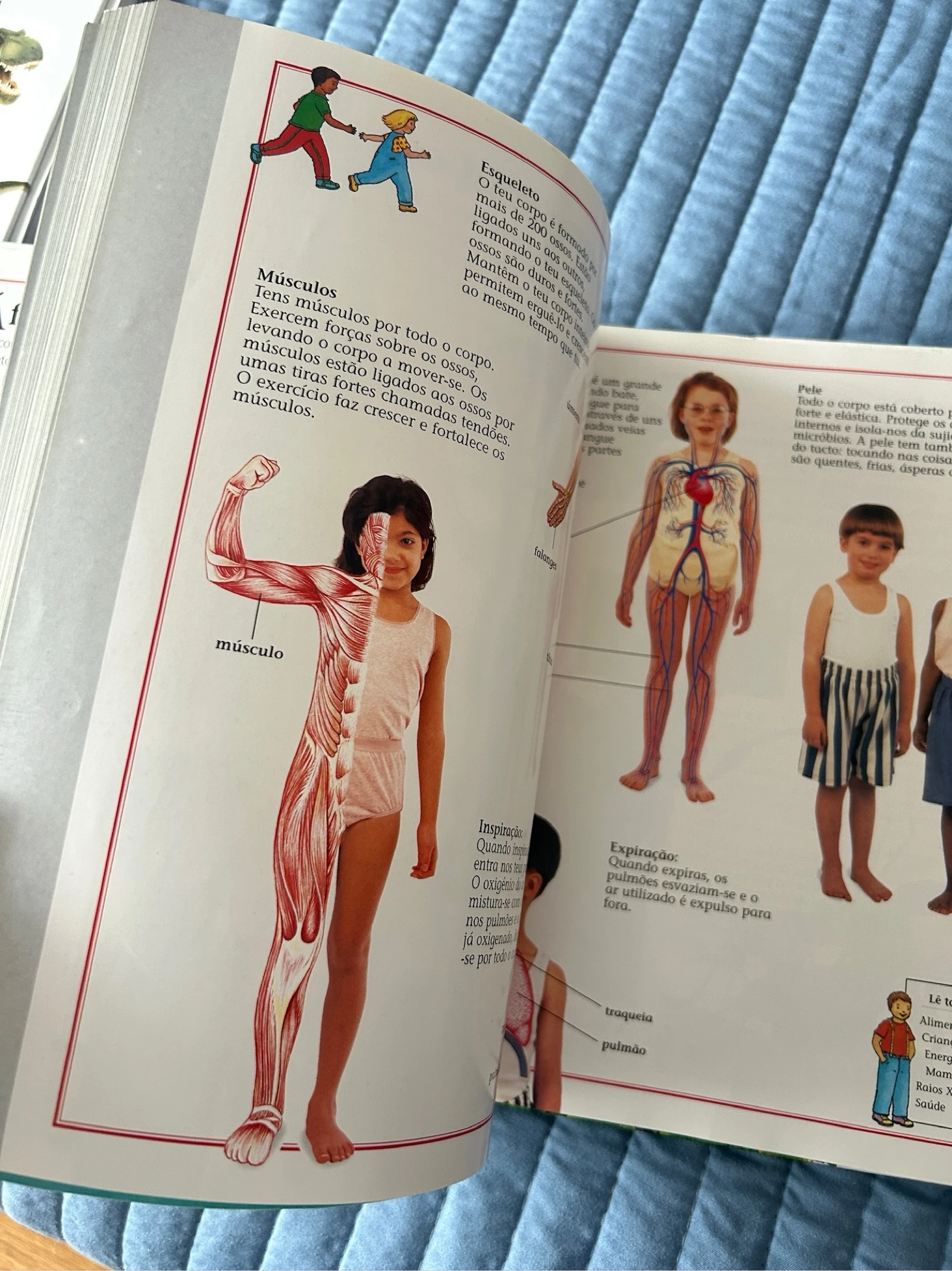 Boek "Je eerste encyclopedie" – photo 4